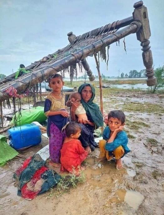  تمہاری زمینوں کے وہ پھول۔۔۔