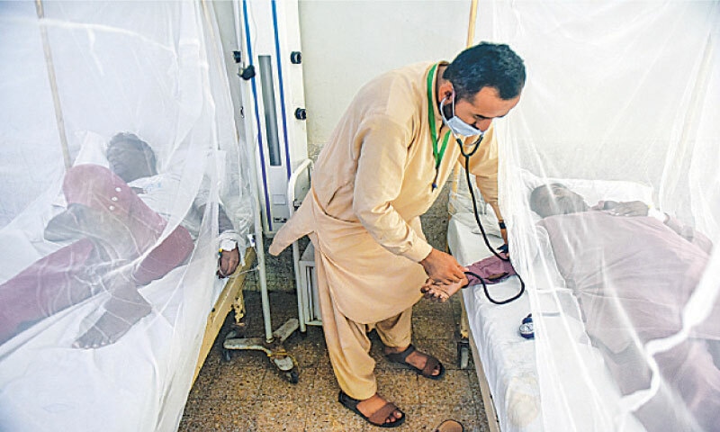 کراچی میں نومبر کے پہلے ہفتے میں ڈینگی کے 3 سو سے زائد کیسز سامنے آگئے۔