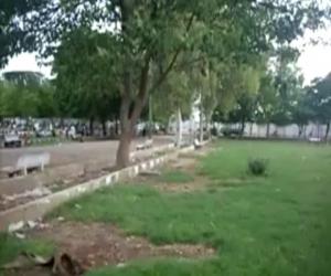 ایڈمنسٹریٹر کراچی  کو سپریم کورٹ میں  غصہ  مہنگا پڑگیا۔