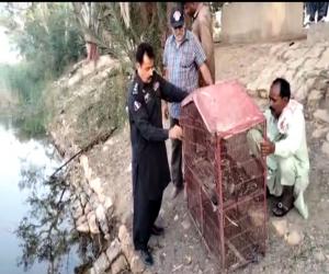 کراچی میں محکمہ جنگلی حیات کا سہراب گوٹھ پر چھاپہ۔