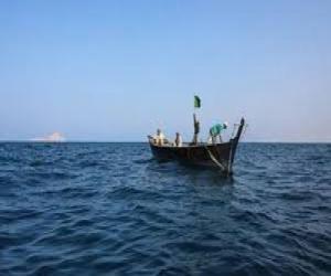 ماہی گیروں کی تین لانچوں نےسات سو سے زائد سوا مچھلیاں پکڑلیں 