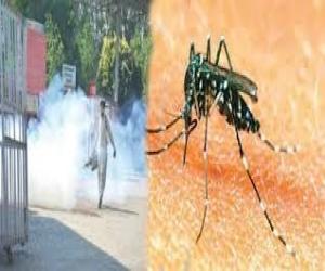 اسلام آباد میں ڈینگی کیسز کی تعداد 197 تک پہنچ گئی
